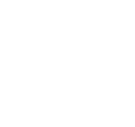 bigcommerce digital marketing services