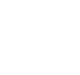 WordPress expert development and management by AdModum digital marketing & internet marketing service packages