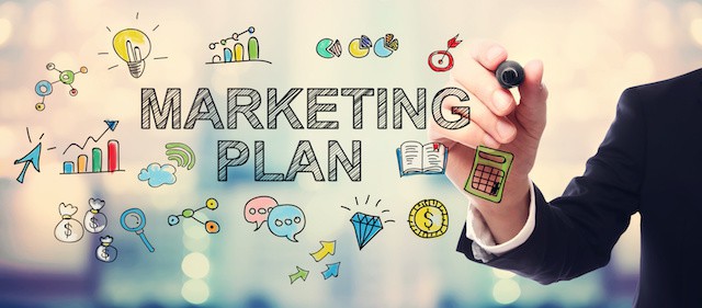 marketing plan options infographic